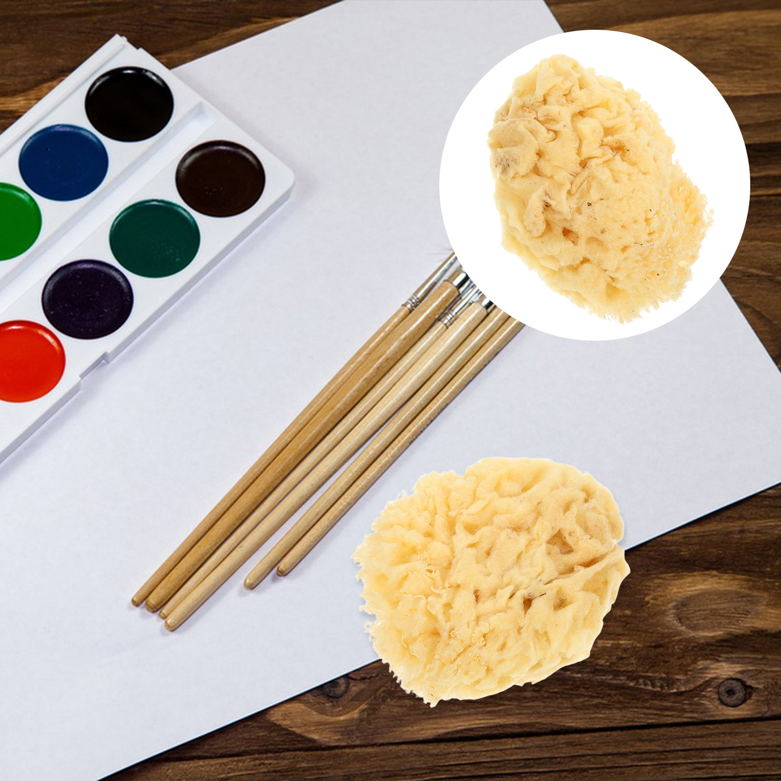 Art Craft Easy - Натуральная морская губка, мягкая, 2,0-2,5 дюйма,